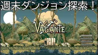 週末の楽しみ！！！【Vagante】息抜きゲーム発掘 8回目！ [upl. by Nnyltiak231]