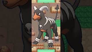 Could I beat these Pokémon in a fight  Houndour Houndoom [upl. by Dualc950]