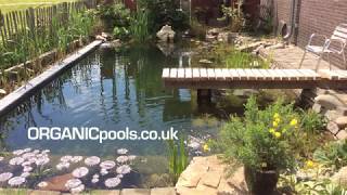 Dutch Family Flood Entire Garden  for an Organic Pool [upl. by Narhem]