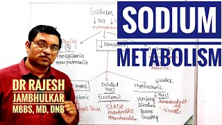 3 Sodium metabolism [upl. by Conchita]