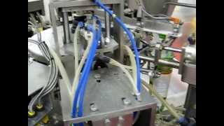 ZIP LOCK STAND UP POUCH FILLING AND SEALING MACHINE RDX8200S [upl. by Ientruoc591]