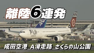 【4K】成田空港 さくらの山公園 空港より離陸する飛行機６連発 [upl. by Adnerad]