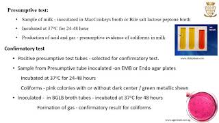 8 hour MicroSnap Coliform amp E coli Sameshift results Instructional Demo [upl. by Noleta]