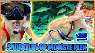 SNORKELEN TUSSEN ViSSEN OP MOOiSTE STRAND VAN CURACAO  Cas Abao Beach 🐠  Bellinga Vlog 3056 [upl. by Yebloc477]