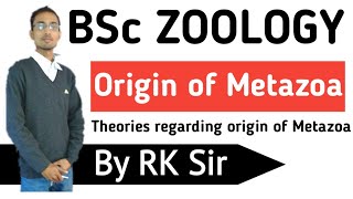 Zoology Origin of Metazoa Theories regarding the Origin of Metazoa BSc [upl. by Kimberlee]