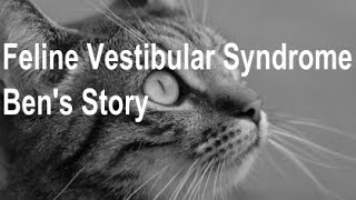 Feline Vestibular Syndrome  Bens Story [upl. by Atalante]