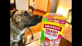 Smirnoff Smash Vodka Sodas Review [upl. by Deutsch770]