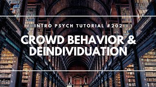 Crowd Behavior amp Deindividuation Intro Psych Tutorial 202 [upl. by Johann]