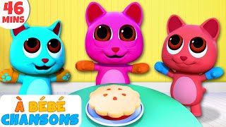 All Babies Channel French  Three Little Kittens  Trois petits chatons  chansons danimaux mignons [upl. by Stepha471]