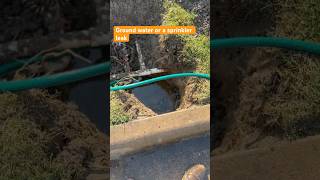 How a Tiny Sprinkler Leak Became a Massive Groundwater Crisis sprinkler frenchdrain landscaping [upl. by Aerdnat45]