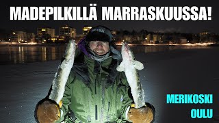 MERIKOSKI OULU  Madepilkillä Marraskuussa ja kylmää oli ku Siperiassa Rangerin Kalavinkkivideot [upl. by Yanat]