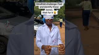 Medical Students Blindfold Challenge  Feel and identify these bones [upl. by Ydospahr]