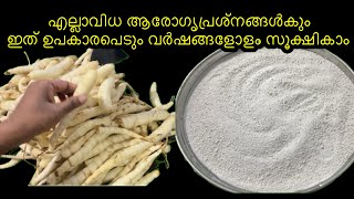 Home made കുവപൊടി।arrowroot recipe Ummu Hanna’s kitchen  arrowroot powder [upl. by Rind499]