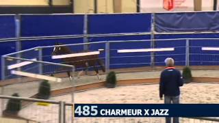 Generaal by Charmeur x Jazz x Contango [upl. by Itsyrk]