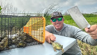 Fried Frog Toes Catch amp Cook Bull Frog [upl. by Hermione]