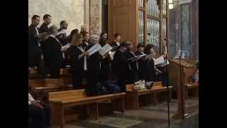 Schola Cantorum Laudate Dominum  PANE E VINO TI OFFRIAMO M Palmitessa [upl. by Nnylimaj]