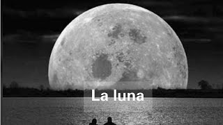 La luna  Ciencias Naturales [upl. by Mcwilliams]