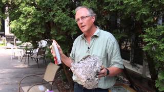 How to remove a wasp nest with insecticidal spray [upl. by Annait]