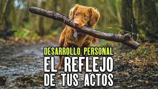 EL REFLEJO DE TUS ACTOS Ser mejor persona Reflexiones de Vida [upl. by Iew]