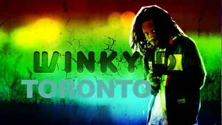 Winky D alongside Cee Jay Besa Live in Canada 21 May 2011 [upl. by Nylrehc]