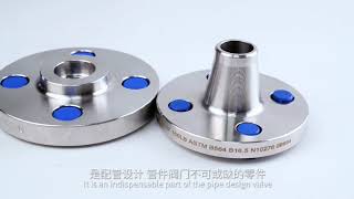 special metal hastelloy inconel incoloy monel alloy Flanges [upl. by Annunciata]