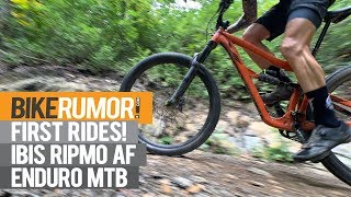 Ibis Ripmo AF  First Ride Review [upl. by Calandria]