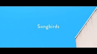 Homecomings  Songbirds（Official Music Video） [upl. by Enniotna]