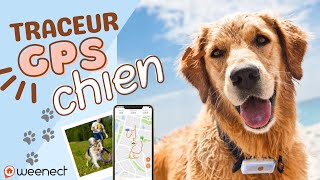 🐶 Weenect Dogs 2  RETROUVER SON CHIEN FACILEMENT grâce à ce Traceur GPS [upl. by Adnilym918]