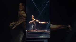 Cirque Italia  Paranormal Cirque Skating Performance circus shorts entertainment [upl. by Eileme]