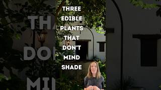 Edible plants that handle shade plantnet gardening fruitplants garden plants [upl. by Benita]