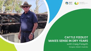 Cattle feedlot makes sense in dry years [upl. by Esyle]