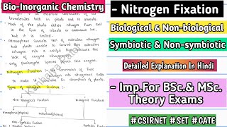 Nitrogen Fixation  Basic Concept  Types  Handwritten Notes  bscnotes bsc mscnotes [upl. by Fadiman]