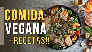 12 Recetas Vegetarianas Fáciles y Ricas para Cocinar en Casa [upl. by Tedman]