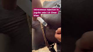 Intravenous injection in jugular vein l dr Umar khan ￼ [upl. by Pauletta]