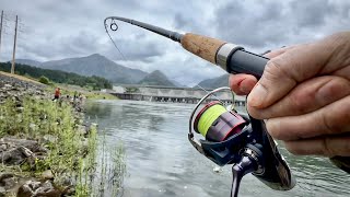 Daiwa Fuego LT 4000DC Review  2024 Early Season Shad Fishing Bonneville Dam Washington [upl. by Warfourd722]