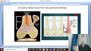 Orthopaedic in Arabic 55  Osteochondroma   by DrWahdan [upl. by Nedak279]