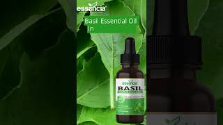 Essancia  Basil Essential Oil for Hair Care Skin Care Body Massage and Aromatherapy [upl. by Goldshlag]