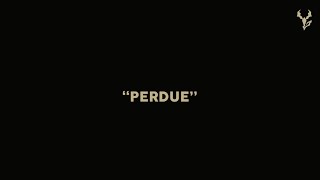 Yseult  PERDUE Lyric Video [upl. by Rida924]