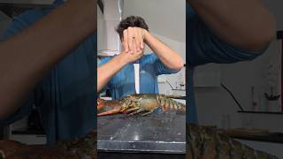 Boiling Lobster W Salt [upl. by Natanhoj]