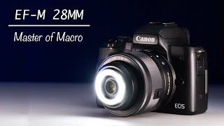 This Lens is Incredible The Canon EFM 28mm f35 IS STM Macro [upl. by Berliner]