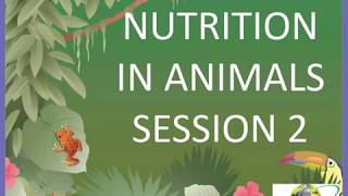 7th CBSE science Nutrition in Animals video lesson 2 [upl. by Saihttam319]