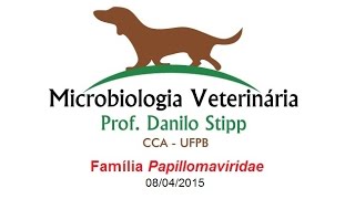 DERMATITE E FERIDAS NA PELE DO CACHORRO DICA FÁCIL PARA RESOLVER EM CASA COM REMÉDIO BARATO DE MAÇA [upl. by Iralam]