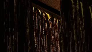 quotUnbelievable Rooftop Rain 🌧️  Soothing Ambiencequot rain relaxingsounds stressrelief [upl. by Yarvis]