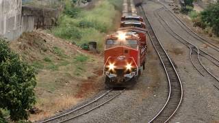 TREM DASH9 DE CIMA DO VIADUTO APUCARANAPR FARINA [upl. by Coombs]