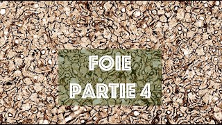 LE FOIE partie 4  HISTOLOGIE [upl. by Larcher]