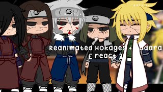 ⚔️  Hashiras React to Kamaboko Squads Power Levels Youre Gonna Die Meme  KNY  GCRV  ⚔️ [upl. by Akener]