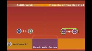 Heparin animation [upl. by Chiarra]