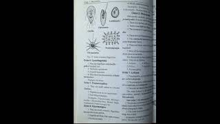 INVERTEBRATES classification [upl. by Isied]