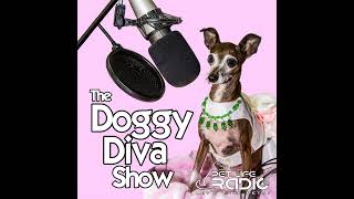 The Doggy Diva Show  Episode 116 Pet Toxin Danger  FurZapper  Pet Oral Care [upl. by Clein320]