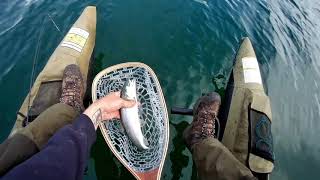 Colorado XT Pontoon Boat trout trolling CATCH and COOK  A rainbow trout fishing adventure [upl. by Issim]